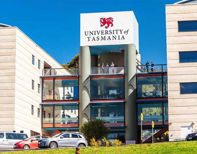 塔斯马尼亚大学